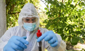 αιμορραγικός πυρετός