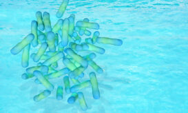 νόσος λεγεωνάριων