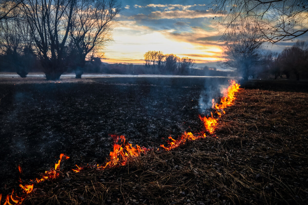 πυρκαγιές
