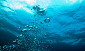 Μπορεί να διαθέτει μία από τις μεγαλύτερες ακτογραμμές στην Ευρώπη, να έχει πλούσιο φυσικό υδάτινο περιβάλλον, μοναδικά μεγάλα και μικρά νησιά και να προσφέρει αμέτρητες δυνατότητες για αναψυχή και τουρισμό, ωστόσο η Ελλάδα, παράλληλα αντιμετωπίζει κι ένα από τα σοβαρότερα προβλήματα: τους πνιγμούς.