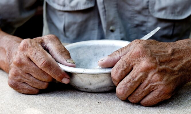 υποσιτισμός