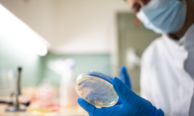 Σταφυλόκοκκος: Συναγερμός για νέο στέλεχος ανθεκτικό στα αντιβιοτικά που εξαπλώνεται στην Ευρώπη