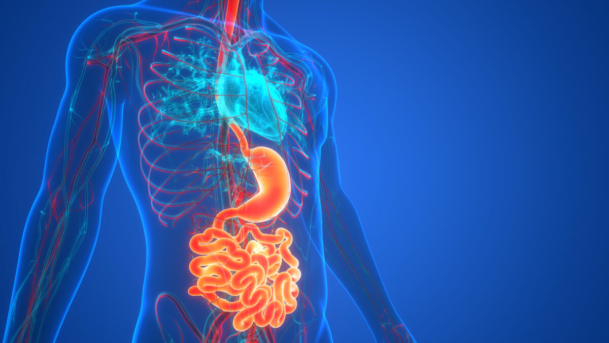 Καρκίνος στομάχου: Το 75% των περιπτώσεων θα μπορούσε να προληφθεί στοχεύοντας ένα και μόνο βακτηρίδιο