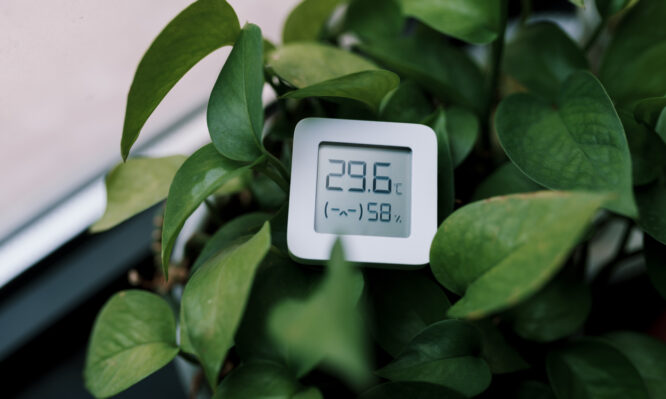 θερμοκρασία