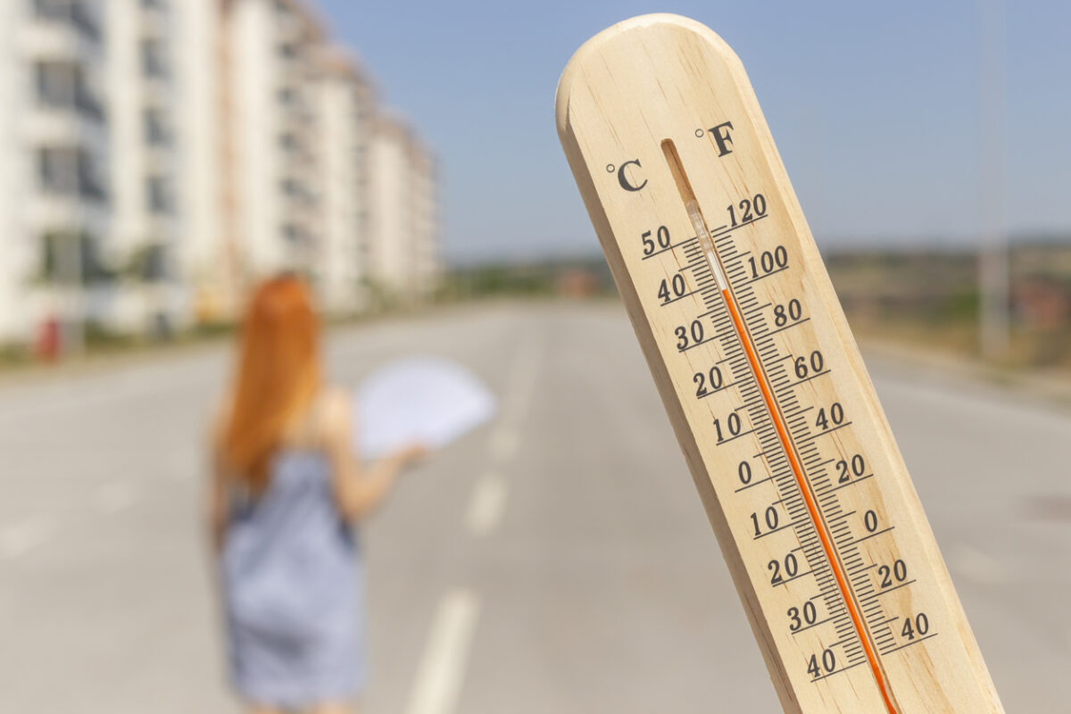 Περιφερειακή Ενότητα Χαλκιδικής