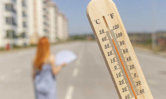 Περιφερειακή Ενότητα Χαλκιδικής