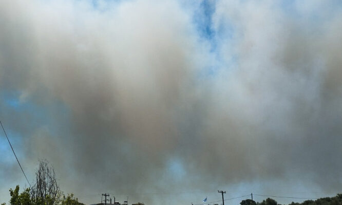 Στο νοσοκομείο εγκαυματίες από τη μεγάλη φωτιά στην Αχαΐα