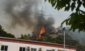 ΕΟΔΥ: Τι πρέπει να προσέχετε όταν καθαρίζετε μετά από πυρκαγιές - Οδηγίες προστασίας