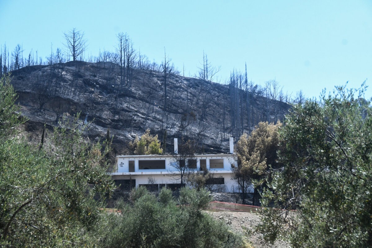Πυρκαγιές: Τι κάνουμε κατά την επιστροφή στις πυρόπληκτες περιοχές και κατοικίες (Εγκύκλιος υπ. Υγείας)