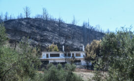 Πυρκαγιές: Τι κάνουμε κατά την επιστροφή στις πυρόπληκτες περιοχές και κατοικίες (Εγκύκλιος υπ. Υγείας)