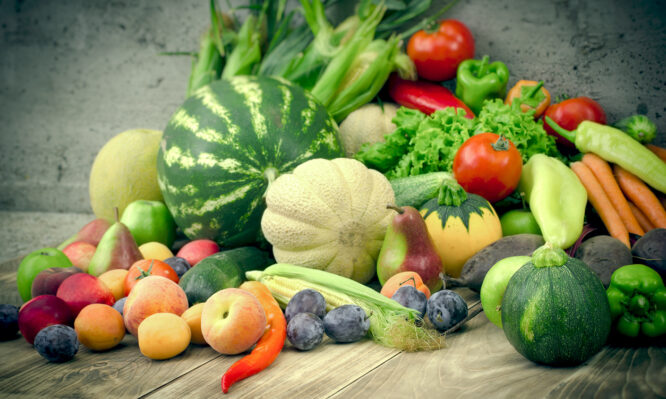 φυτικές ίνες