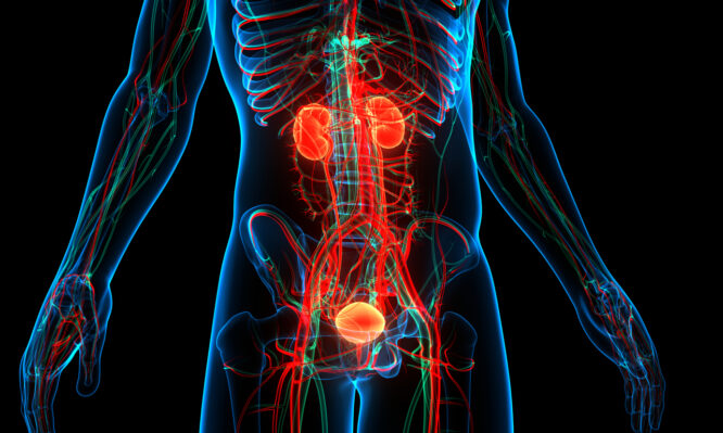 Καρκίνος ουροδόχου κύστης: Συσκευή εξαλείφει τους όγκους σε 4 στις 5 περιπτώσεις