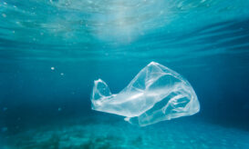 Σε 1,5 τρισ. δολάρια υπολογίζεται το κόστος των πλαστικών για την υγεία