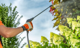 Κοινό φυτοφάρμακο και εντομοκτόνο συνδέεται με μειωμένη ανάπτυξη του εγκεφάλου στα παιδιά