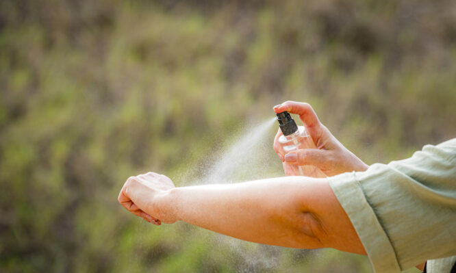 Ιός του Δυτικού Νείλου