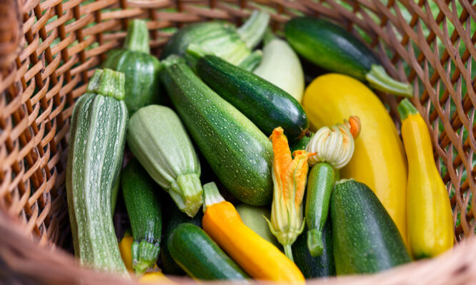 Κολοκυθάκια: Ένας παραγνωρισμένος σύμμαχος υγείας, γεμάτος θρεπτικά συστατικά