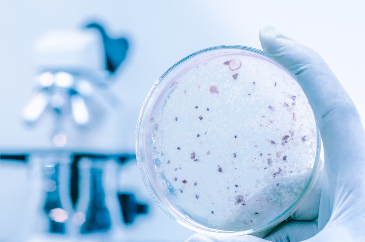 νόσος των λεγεωναρίων