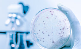 νόσος των λεγεωναρίων