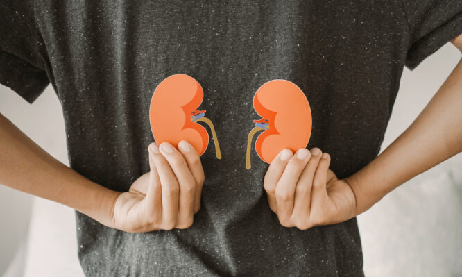 μεταμόσχευση