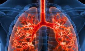 Συνάντηση με τον Πρόεδρο της Δημοκρατίας είχε αντιπροσωπεία του Πανελληνίου Συλλόγου Πνευμονικής Ίνωσης «Πνεύμονες Ζωής»