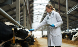 κτηνίατροι