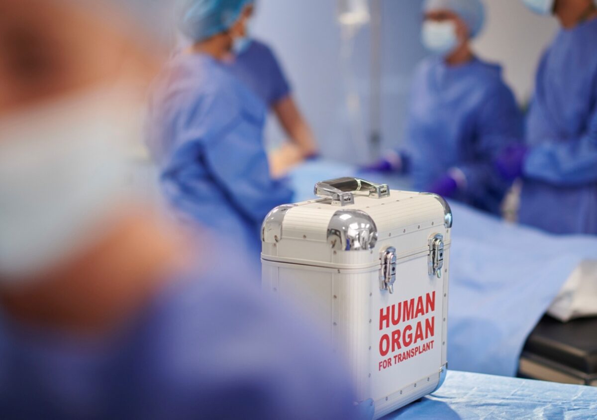 μεταμόσχευση