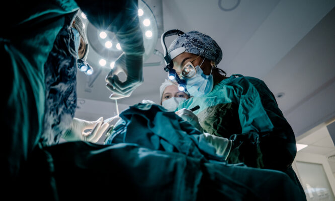 μεταμοσχεύσεις