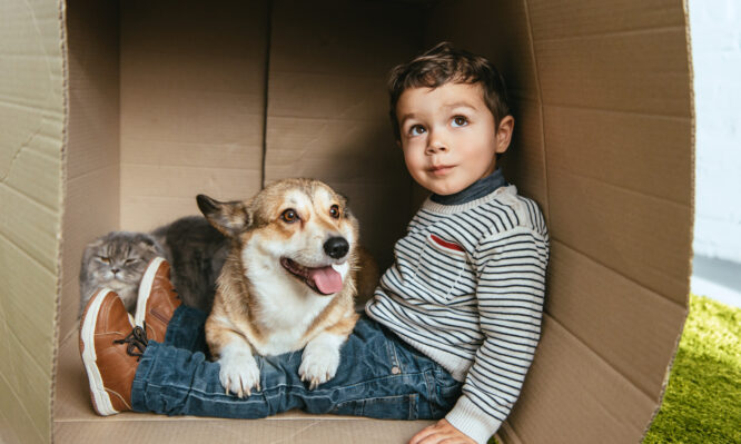 Πώς η απώλεια ενός κατοικιδίου γίνεται αφορμή για να μιλήσουμε στα παιδιά για τον θάνατο και το πένθος