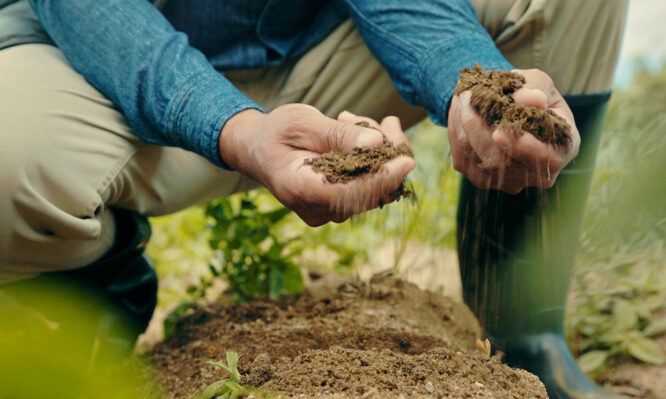 υγιεινά τρόφιμα