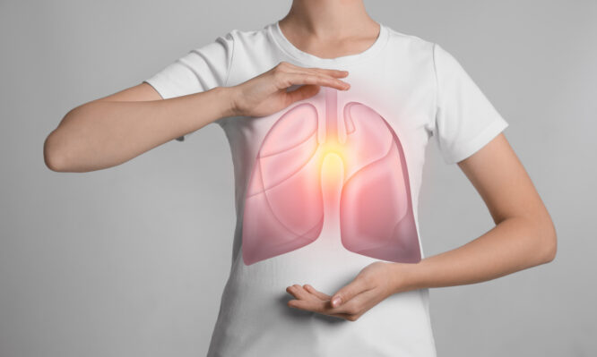 μεταμόσχευση