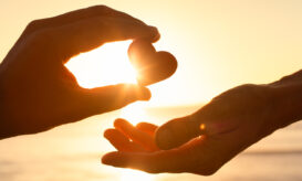 Στην Ελλάδα ο Εορτασμός της «Ευρωπαϊκής Ημέρας Δωρεάς Οργάνων, Ιστών και Κυττάρων» για το 2025