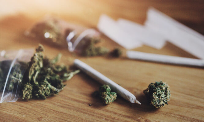 Σήμα κινδύνου από τον ΕΟΠΑΕ για την κάνναβη και τη χρήση της από μαθητές στην Ελλάδα