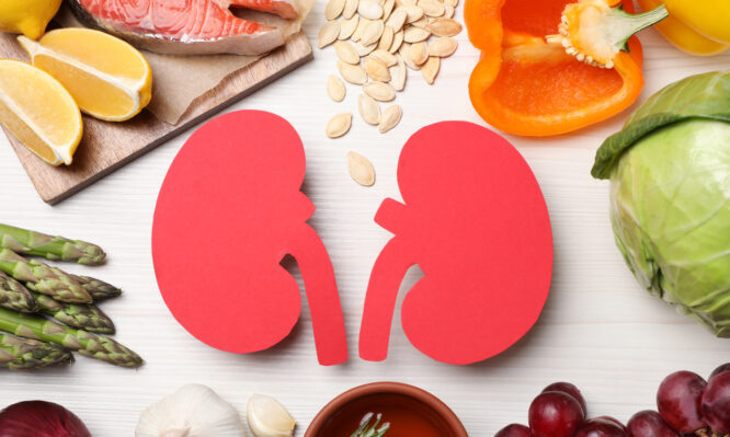 νεφρική λειτουργία