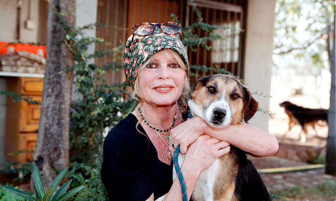 Μπριζίτ Μπαρντό