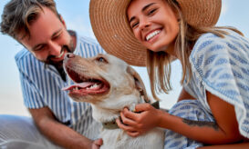 κατοικίδια