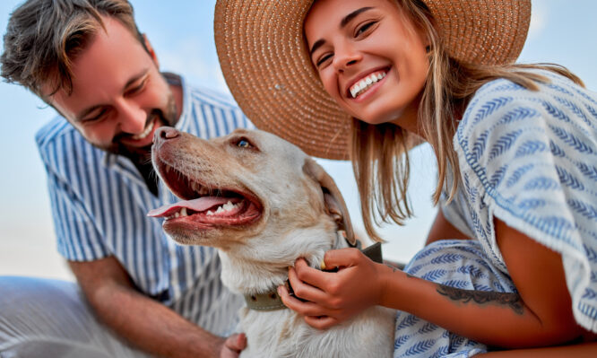 κατοικίδια
