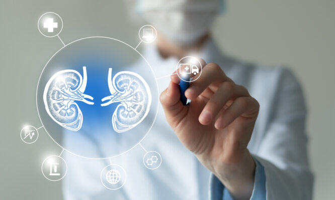 χρόνια νεφρική νόσος