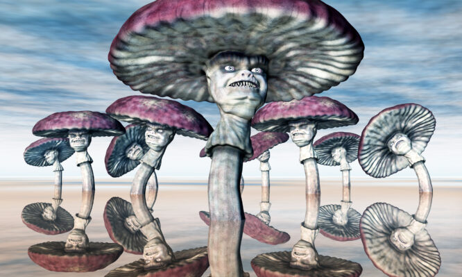 κατάθλιψη, ψιλοκιβύνη