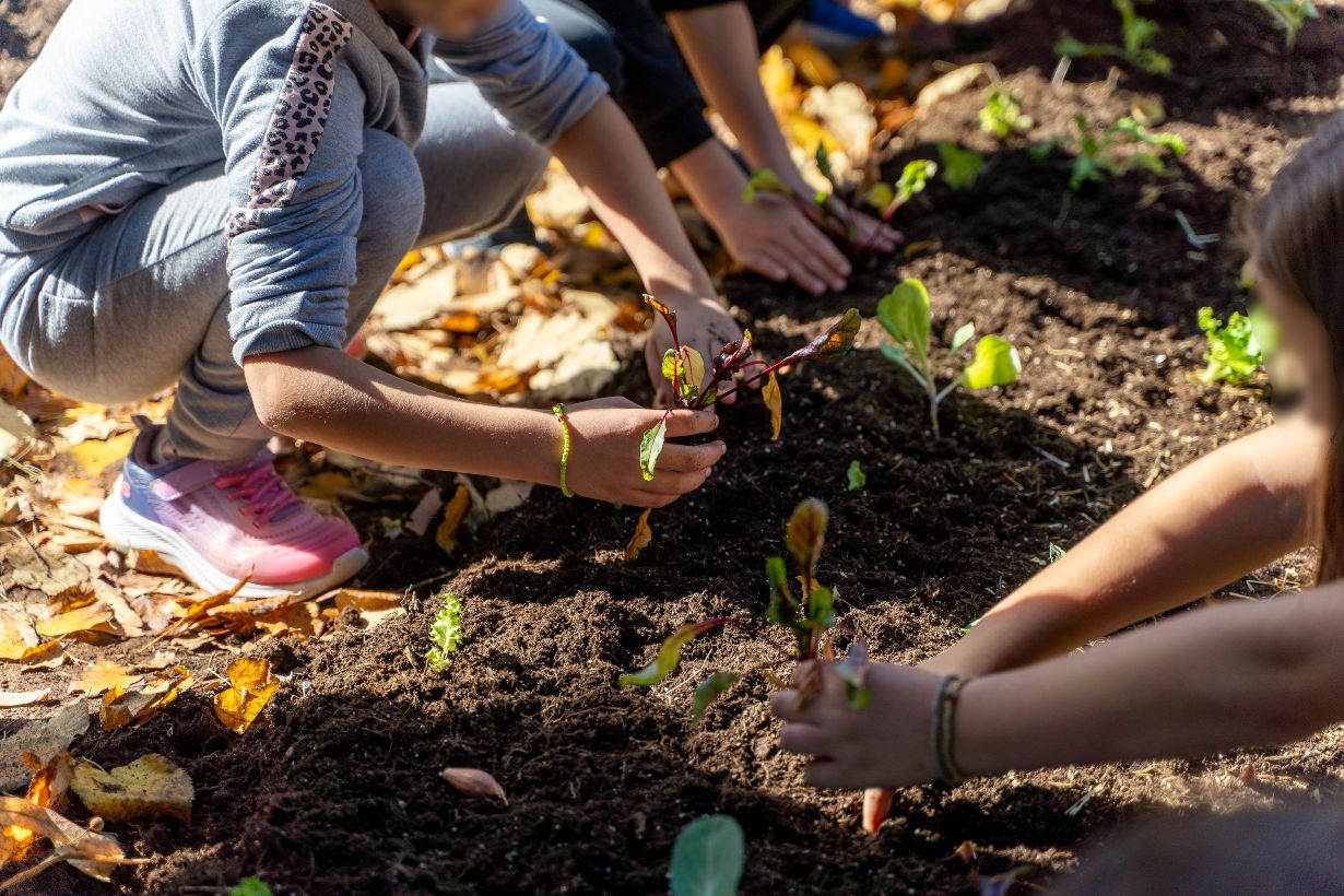 Carbon Farming Schools