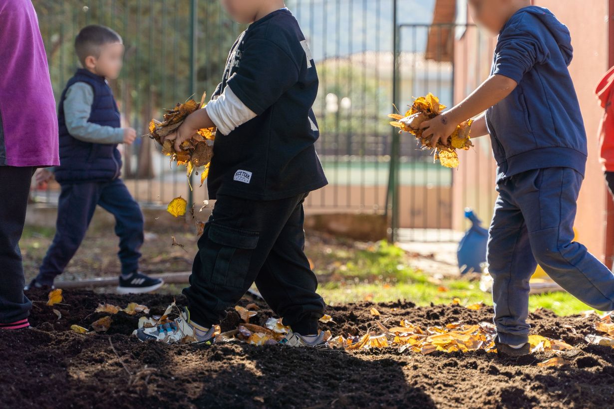 Carbon Farming Schools