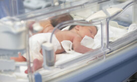 Καραμανδάνειο - δίδυμα