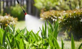 φυτοφάρμακο