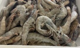 Περιφέρεια Αττικής