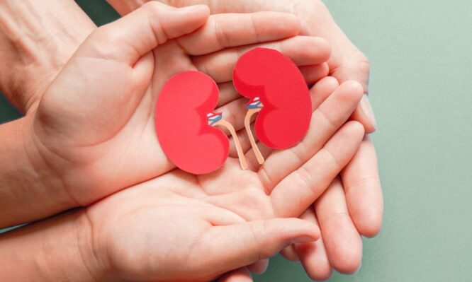 μεταμόσχευση