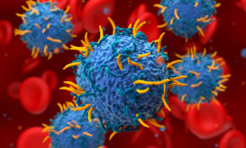 ανοσοκύτταρα