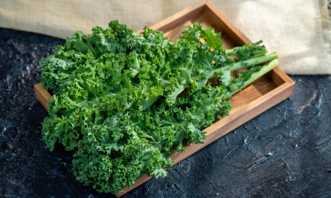 λαχανίδα, ale