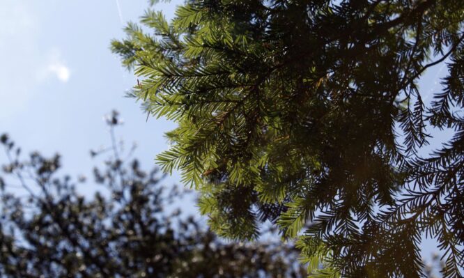 ίταμος - ΑΠΘ