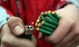 ΠΟΕΔΗΝ, κροτίδες, Γιαννάκος