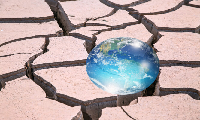 αντιβιοτικά