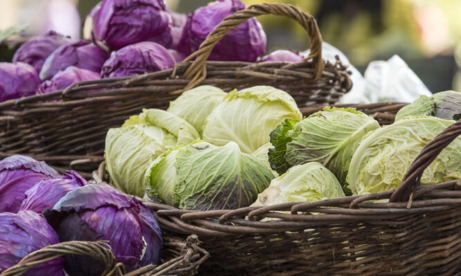 λάχανο κόκκινο και πράσινο